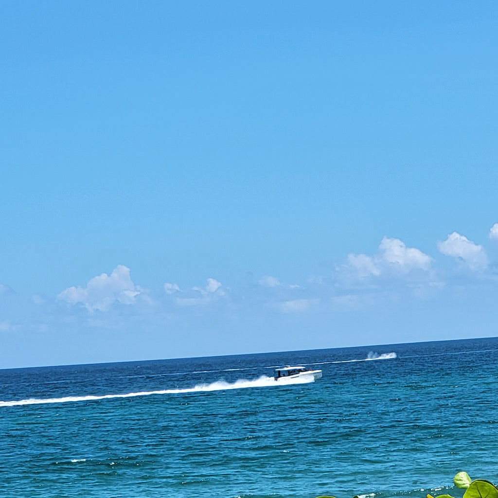 Cute Hippo Playing Piano Color-Changing Mug — 11oz Magic Heat Reveal