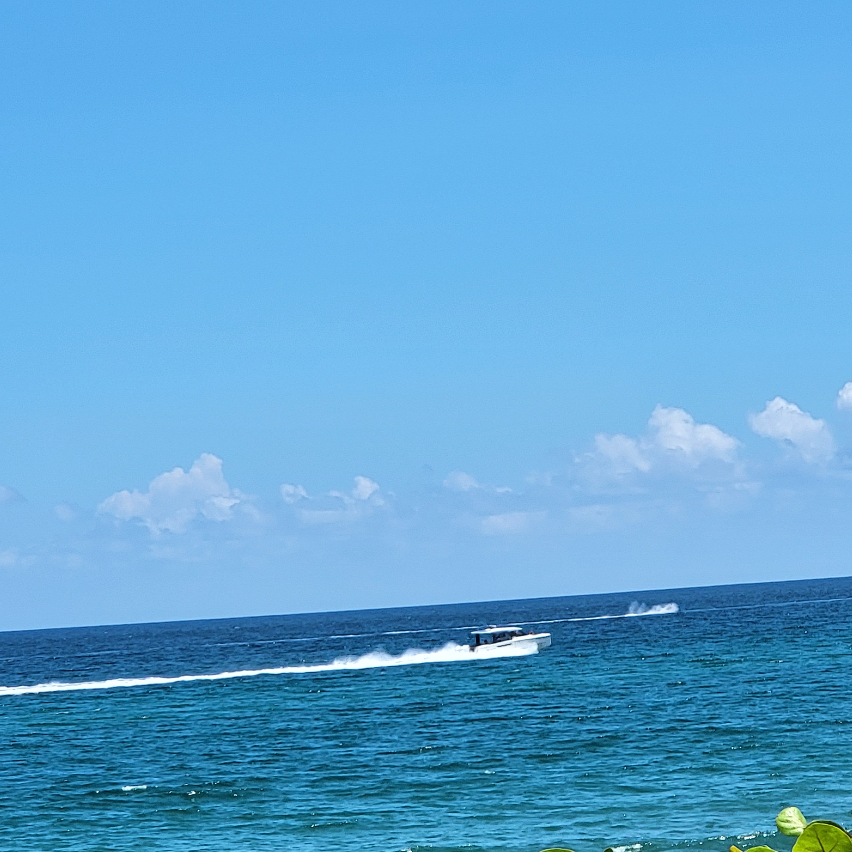 Cute Hippo Playing Piano Color-Changing Mug — 11oz Magic Heat Reveal