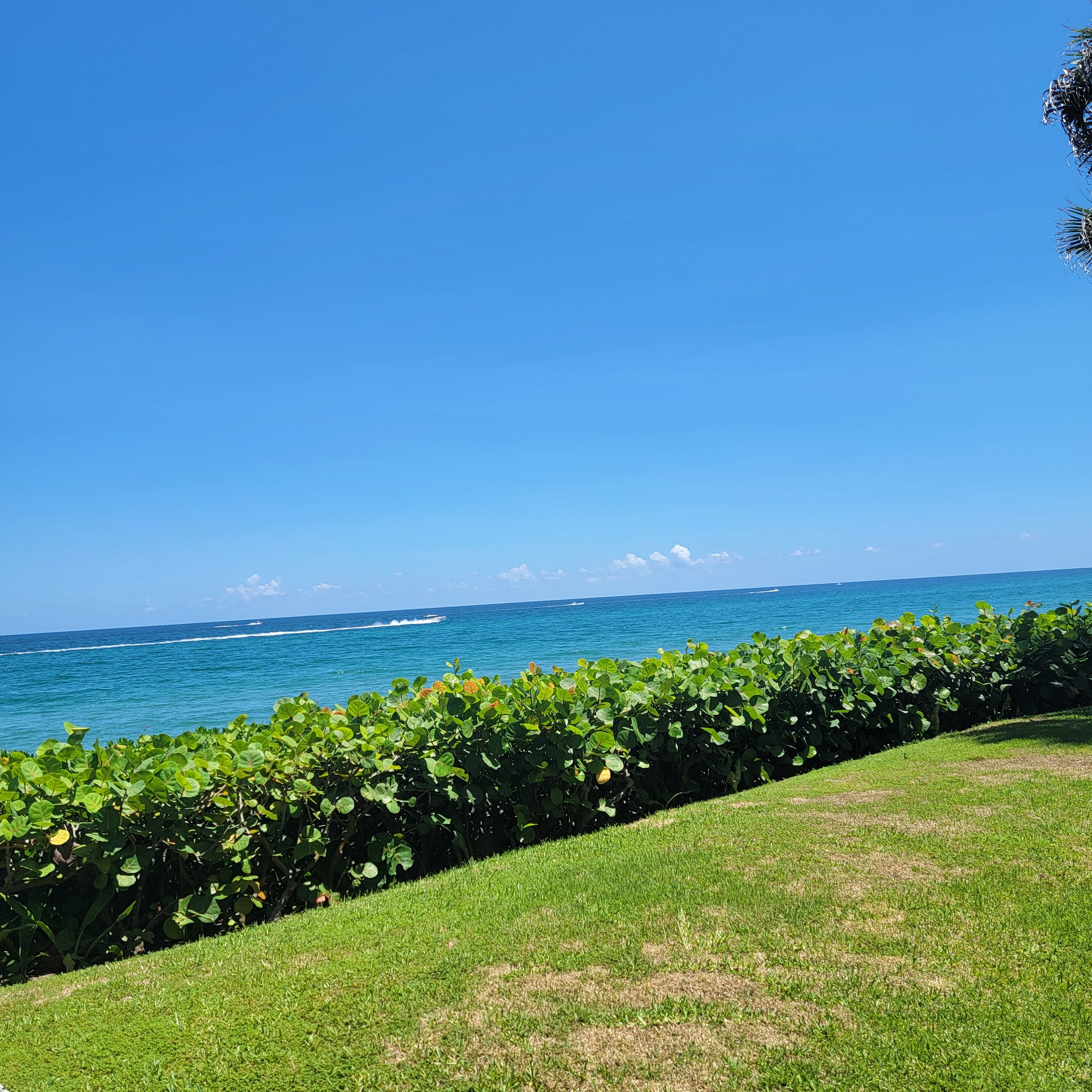 Cute Hippo Playing Piano Color-Changing Mug — 11oz Magic Heat Reveal