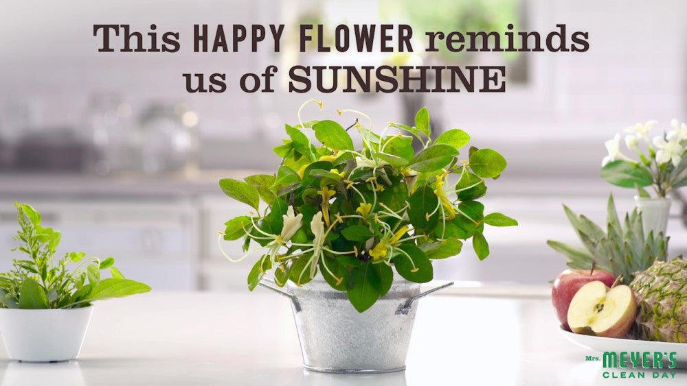 Mrs Meyers Liquid Hand Sp Honeyskl (6x12.5OZ )-1